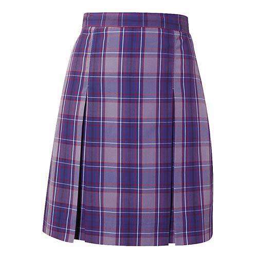 Kick Pleat School Uniform Skirt Style #34