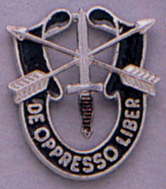 Special Forces Crest Pin